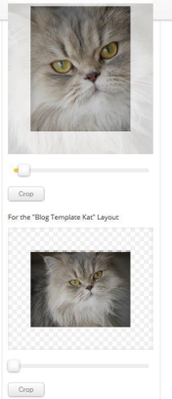 Crop and Publish