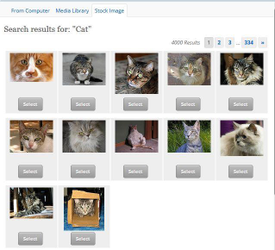 Stock Image Results