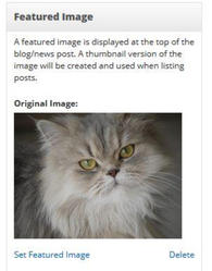 Featured Image