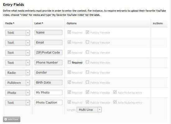 Entry Fields Screenshot