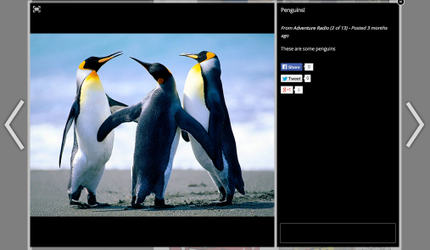 Viewing Photos in an Album