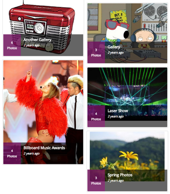 Album Gallery Widget Example