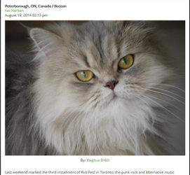 Featured Image in Blog