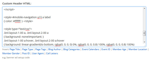 Custom Header HTML Example