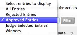 Approved Entries Filter